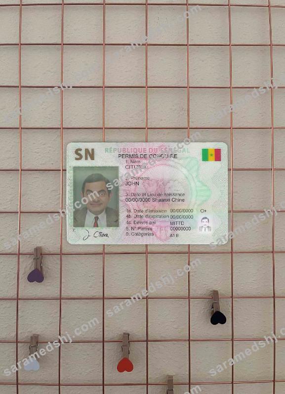 Senegal DL photolook FRONT